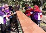 Executive Program Nomor Foto Home 3
