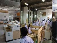 Executive Program Nomor 10